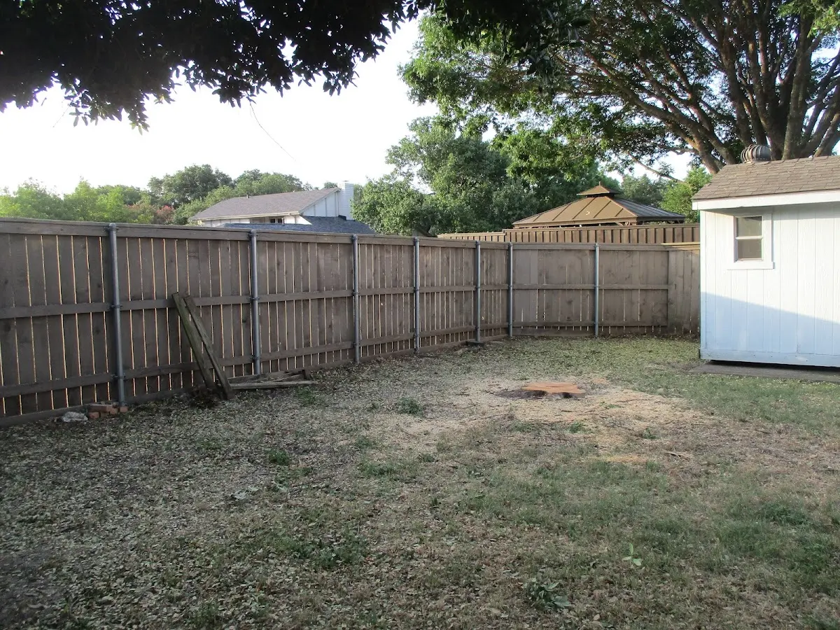 Cleared yard after professional tree removal in Dumont